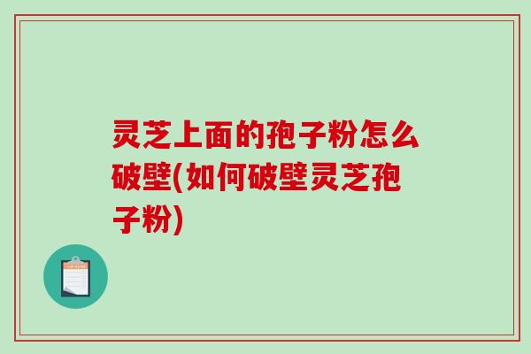 灵芝上面的孢子粉怎么破壁(如何破壁灵芝孢子粉)