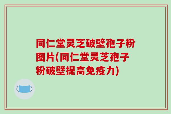 同仁堂灵芝破壁孢子粉图片(同仁堂灵芝孢子粉破壁提高免疫力)