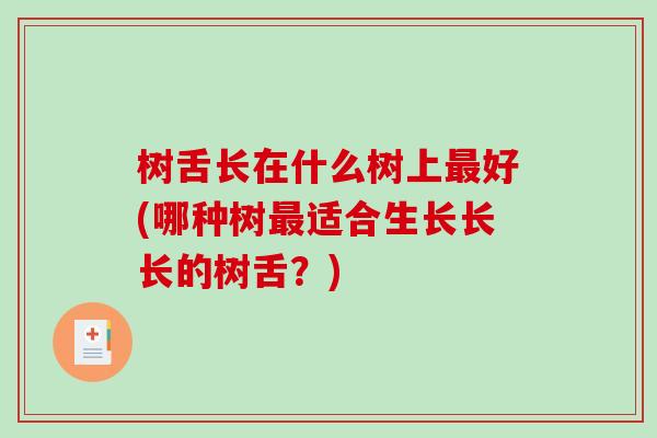 树舌长在什么树上最好(哪种树最适合生长长长的树舌？)