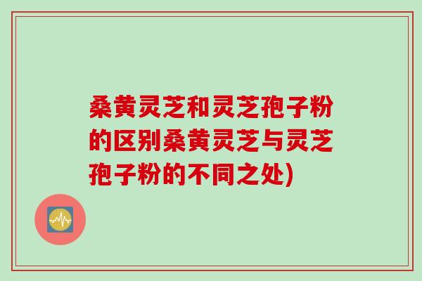 桑黄灵芝和灵芝孢子粉的区别桑黄灵芝与灵芝孢子粉的不同之处) 桑黄灵芝和灵芝孢子粉的区别桑黄灵芝与灵芝孢子粉的不同之处)