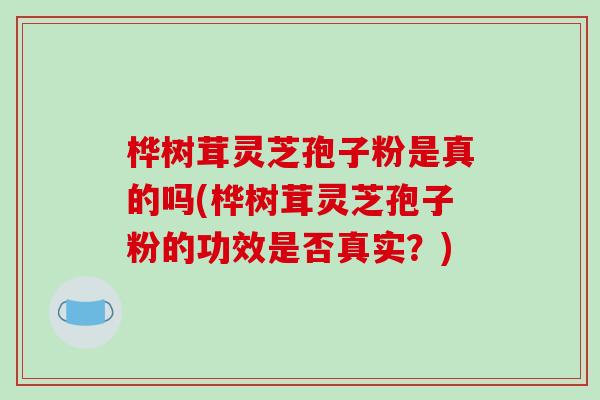 桦树茸灵芝孢子粉是真的吗(桦树茸灵芝孢子粉的功效是否真实？)