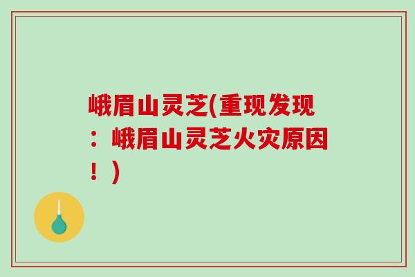 峨眉山灵芝(重现发现：峨眉山灵芝火灾原因！)