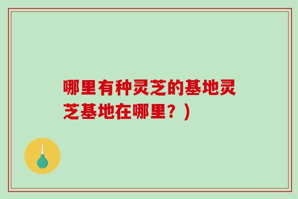 哪里有种灵芝的基地灵芝基地在哪里？)