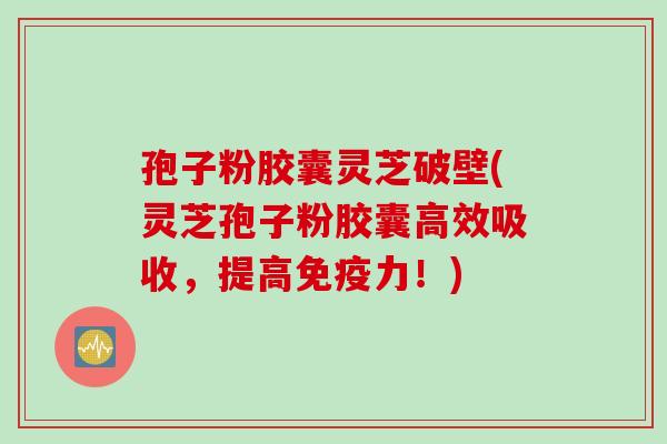 孢子粉胶囊灵芝破壁(灵芝孢子粉胶囊高效吸收，提高免疫力！)