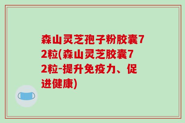 森山灵芝孢子粉胶囊72粒(森山灵芝胶囊72粒-提升免疫力、促进健康)