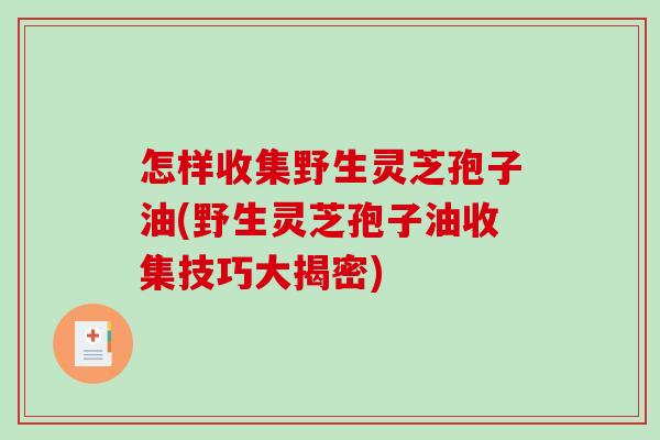 怎样收集野生灵芝孢子油(野生灵芝孢子油收集技巧大揭密)