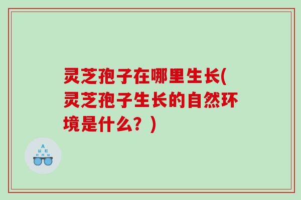 灵芝孢子在哪里生长(灵芝孢子生长的自然环境是什么？)