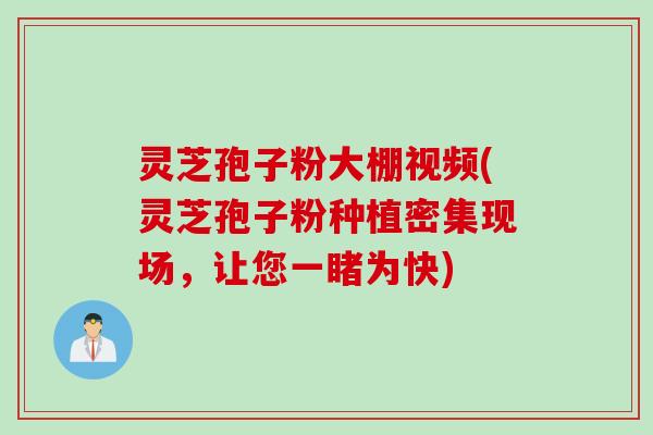 灵芝孢子粉大棚视频(灵芝孢子粉种植密集现场，让您一睹为快)