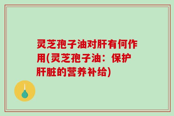 灵芝孢子油对肝有何作用(灵芝孢子油：保护肝脏的营养补给)