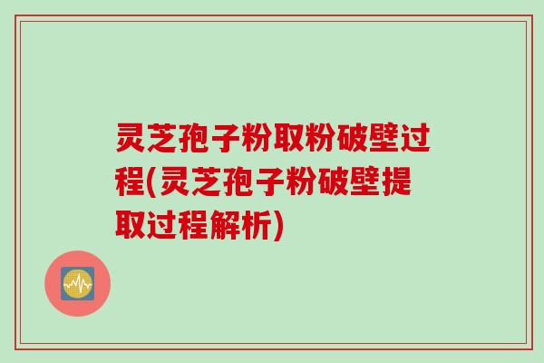 灵芝孢子粉取粉破壁过程(灵芝孢子粉破壁提取过程解析)