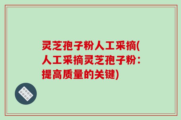 灵芝孢子粉人工采摘(人工采摘灵芝孢子粉：提高质量的关键)