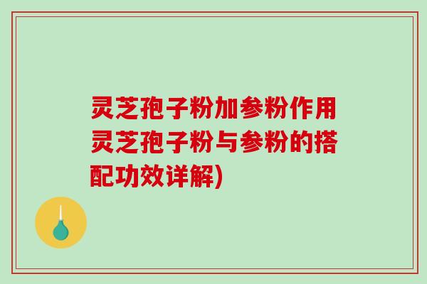 灵芝孢子粉加参粉作用灵芝孢子粉与参粉的搭配功效详解)
