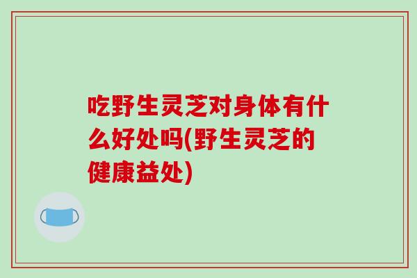 吃野生灵芝对身体有什么好处吗(野生灵芝的健康益处)