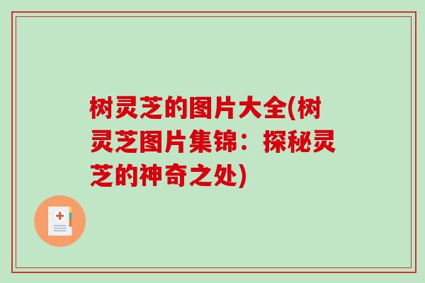 树灵芝的图片大全(树灵芝图片集锦：探秘灵芝的神奇之处)