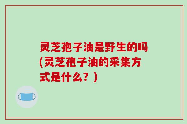 灵芝孢子油是野生的吗(灵芝孢子油的采集方式是什么？)