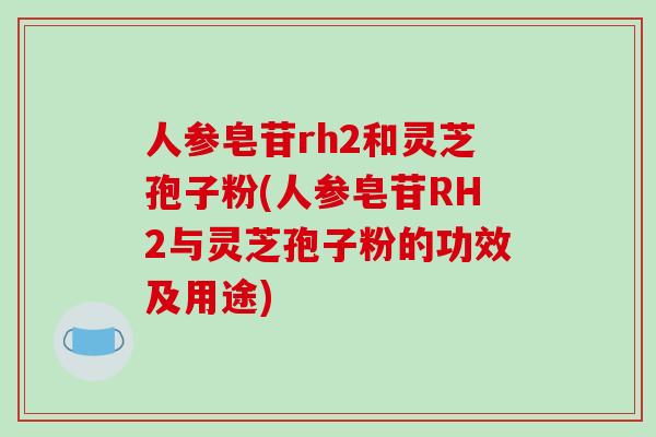 人参皂苷rh2和灵芝孢子粉(人参皂苷RH2与灵芝孢子粉的功效及用途)