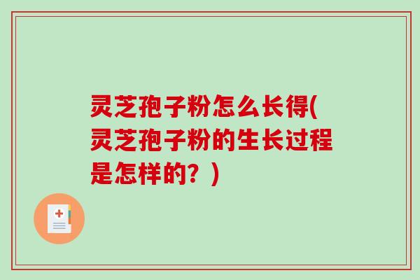 灵芝孢子粉怎么长得(灵芝孢子粉的生长过程是怎样的？)
