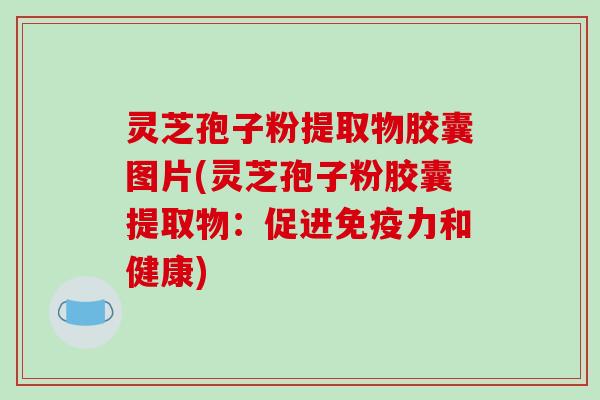灵芝孢子粉提取物胶囊图片(灵芝孢子粉胶囊提取物：促进免疫力和健康)
