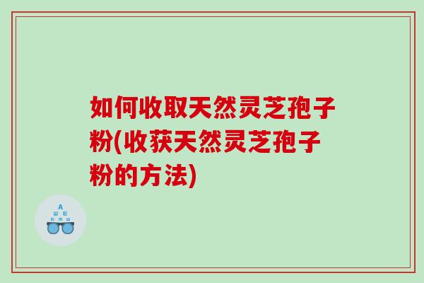 如何收取天然灵芝孢子粉(收获天然灵芝孢子粉的方法)