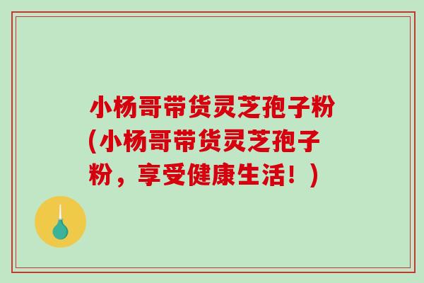 小杨哥带货灵芝孢子粉(小杨哥带货灵芝孢子粉，享受健康生活！)