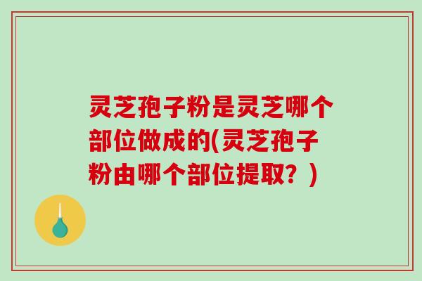 灵芝孢子粉是灵芝哪个部位做成的(灵芝孢子粉由哪个部位提取？)