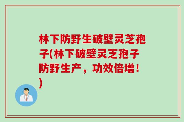 林下防野生破壁灵芝孢子(林下破壁灵芝孢子防野生产，功效倍增！)