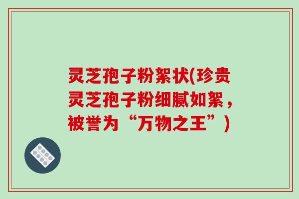 灵芝孢子粉絮状(珍贵灵芝孢子粉细腻如絮，被誉为“万物之王”)