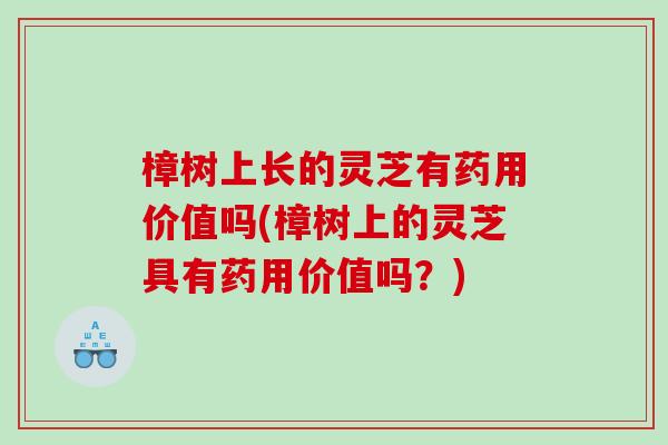 樟树上长的灵芝有药用价值吗(樟树上的灵芝具有药用价值吗？)