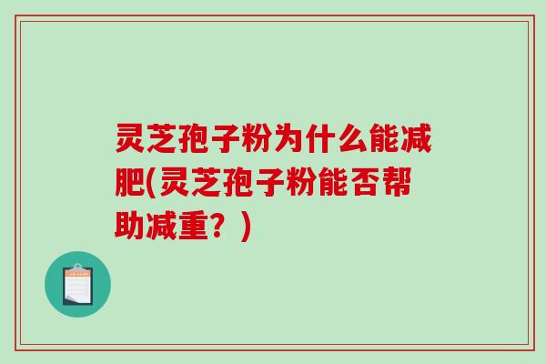 灵芝孢子粉为什么能减肥(灵芝孢子粉能否帮助减重？)