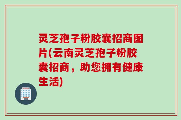 灵芝孢子粉胶囊招商图片(云南灵芝孢子粉胶囊招商，助您拥有健康生活)