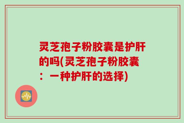 灵芝孢子粉胶囊是护肝的吗(灵芝孢子粉胶囊：一种护肝的选择)