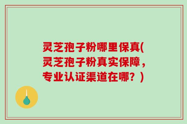 灵芝孢子粉哪里保真(灵芝孢子粉真实保障，专业认证渠道在哪？)
