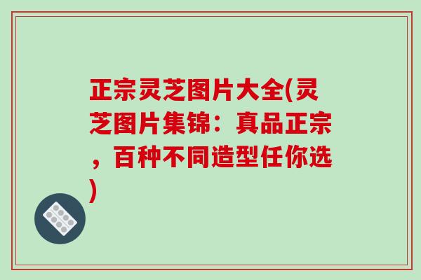 正宗灵芝图片大全(灵芝图片集锦：真品正宗，百种不同造型任你选)