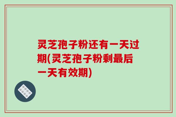 灵芝孢子粉还有一天过期(灵芝孢子粉剩最后一天有效期)