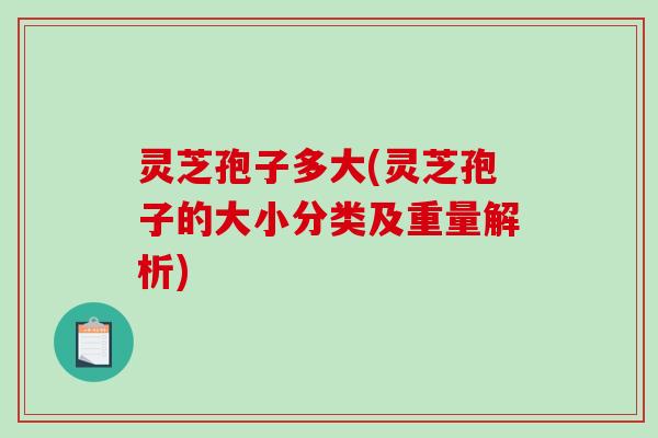 灵芝孢子多大(灵芝孢子的大小分类及重量解析)