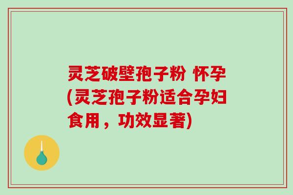 灵芝破壁孢子粉 怀孕(灵芝孢子粉适合孕妇食用，功效显著)