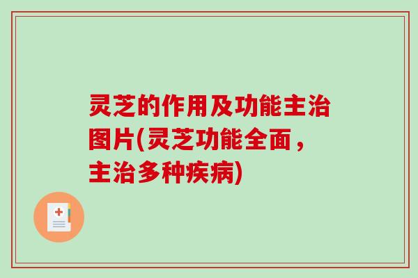 灵芝的作用及功能主治图片(灵芝功能全面，主治多种疾病)