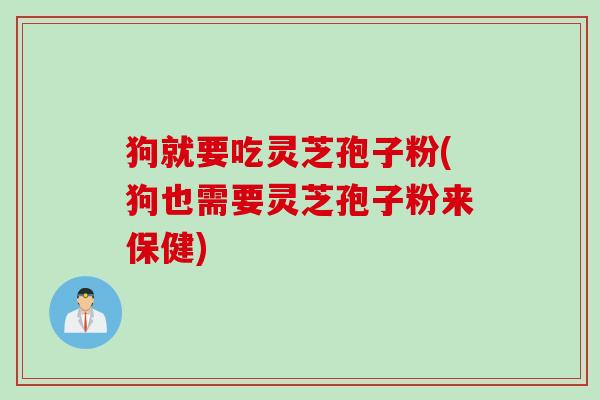 狗就要吃灵芝孢子粉(狗也需要灵芝孢子粉来保健)