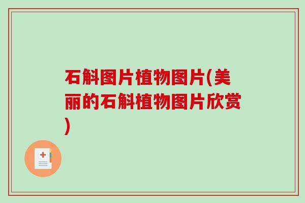 石斛图片植物图片(美丽的石斛植物图片欣赏)