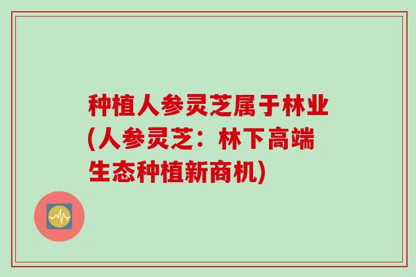 种植人参灵芝属于林业(人参灵芝：林下高端生态种植新商机)