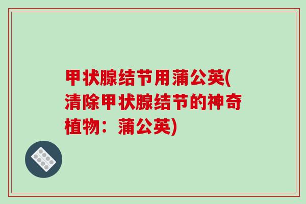 甲状腺结节用蒲公英(清除甲状腺结节的神奇植物：蒲公英)