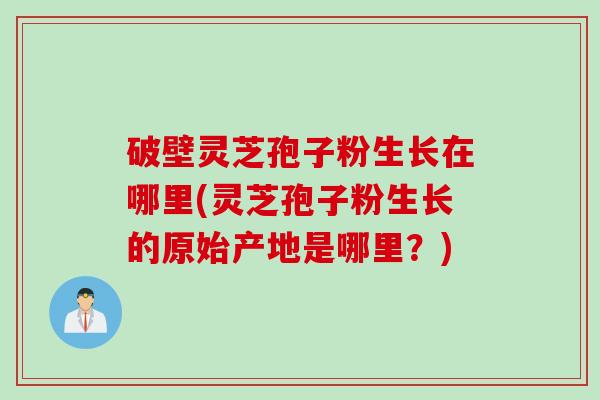 破壁灵芝孢子粉生长在哪里(灵芝孢子粉生长的原始产地是哪里？)
