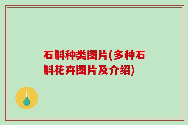 石斛种类图片(多种石斛花卉图片及介绍)
