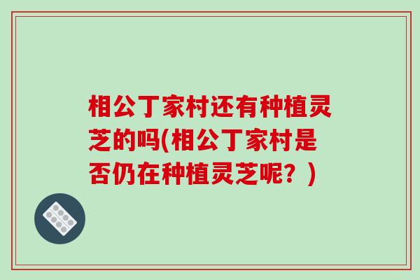 相公丁家村还有种植灵芝的吗(相公丁家村是否仍在种植灵芝呢？)