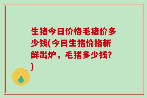 生猪今日价格毛猪价多少钱(今日生猪价格新鲜出炉，毛猪多少钱？)