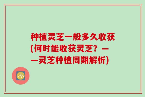 种植灵芝一般多久收获(何时能收获灵芝？——灵芝种植周期解析)