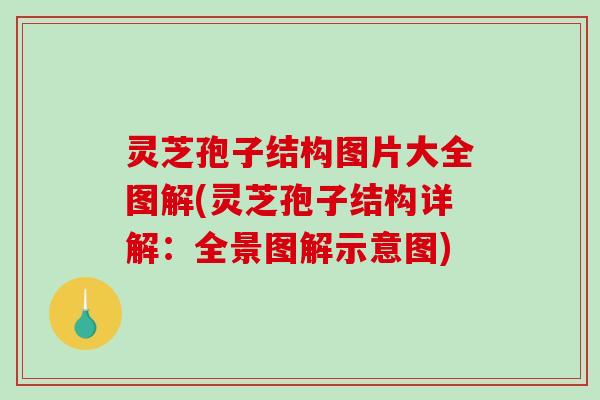 灵芝孢子结构图片大全图解(灵芝孢子结构详解：全景图解示意图)