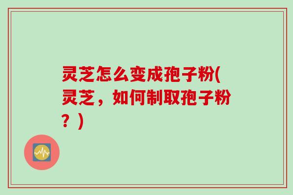 灵芝怎么变成孢子粉(灵芝，如何制取孢子粉？)
