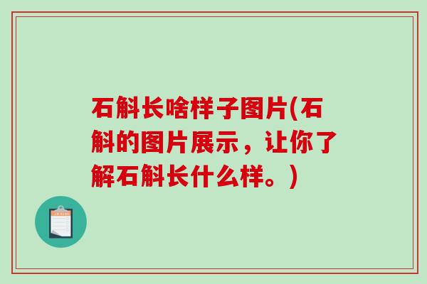 石斛长啥样子图片(石斛的图片展示，让你了解石斛长什么样。)