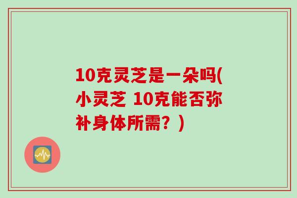 10克灵芝是一朵吗(小灵芝 10克能否弥补身体所需？)